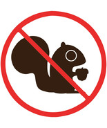 No Squirrel No Nut Sticker (Select your Size) - £2.21 GBP+