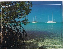 Florida Postcard Sailboats Crystal Clear Waters &amp; White Sandy Beaches - £2.32 GBP