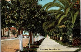 Magnolia Trees Broadway Santa Ana CA Postcard PC59 - £3.97 GBP