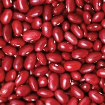 Small Red Chili Dry Bush Bean Open Pollinated Seeds Fresh Garden Seeds - $14.68