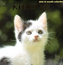Kittens - 2015 12 Month Wall Calendar + Free Bonus 2015 Magnetic Calendar - £5.66 GBP