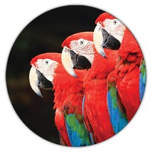 3 Macaws : Gift Coaster Parrot Bird Photography Animal Cute - £3.91 GBP