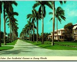 Royal Palms Line Residential Avenues In Sunny Florida FL Chrome Postcard I8 - $2.92