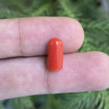 AAA+Genuine Natural Coral Gemstone, Gift For Her, Coral Jewelry Making G... - $9.99