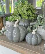 Grey and White Glossy Ceramic Pumpkin Set of 2 - $685.29 MXN