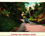 Generic Autos on Road Greetings From Lowman Idaho ID UNP DB Postcard B1 - $6.88
