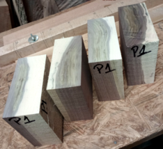 Four (4) Sappy Black Walnut Bowl Blanks Lathe Turning Block 6 X 6 X 2 3/4&quot; P1 - £38.73 GBP