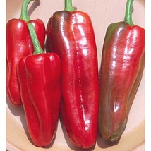 Marconi Sweet Red Pepper Seeds Fresh Seeds USA - $12.80