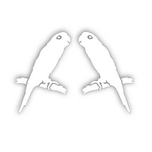 2X PARROT Decal for home garden car window or visibility glass patio doo... - £9.44 GBP