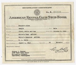 1945 American Kennel Club Stud Book Certificate &amp; Dog License Receipts Beagle - £14.24 GBP