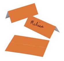 24 ORANGE Place Cards Regular Size Card stock All Occasion Wedding Birthday - £3.94 GBP
