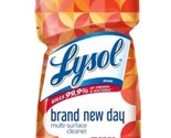 Lysol Brand New Day Multi-Surface Cleaner, Mango &amp; Hibiscus Scent, 48 Fl... - £7.79 GBP