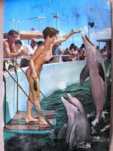 1968 Seaquarium, Miami, Florida Postcard FL Porpoises - £5.86 GBP