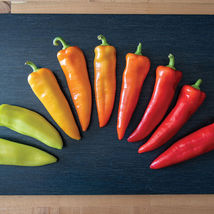 25 Seeds Hungarian Wax Pepper Vegetables Garden - £7.59 GBP