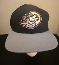 VTG Erie Seawolves Hat New Era USA Minor League Baseball Snapback Cap - $27.85