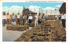 Sponge Exchange Tarpon Springs Florida 1920s postcard - £5.42 GBP
