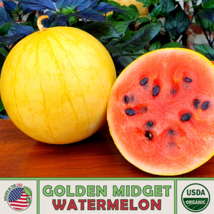 FG- 10 Organic Golden Midget Watermelon Seeds, Heirloom, Non-GMO, Genuine USA - £5.55 GBP