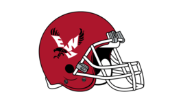 vSouthern Washington Eagles NCAA College Team Logo Poster Flag 12x8in Me... - $34.72 CAD