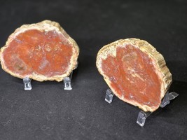 Pair of Petrified Wood Stone Decorative Crystal Slices- Red Matching Pair - $737.45 MXN