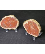 Pair of Petrified Wood Stone Decorative Crystal Slices- Red Matching Pair - $55.68 CAD