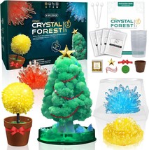 Crystal Growing Kit 4 IN 1 Crystal Forest Craft Kit for Kids Chemical Sc... - £32.90 GBP