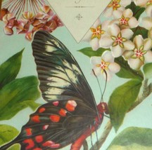 1800&#39;s Antique Victorian Card W/ Butterfly &amp; Flowers - Compliments of th... - $8.00