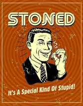 Stoned Special Kind of Stupid Pot Marijuana Funny Humor Wall Décor Metal Sign - £17.85 GBP