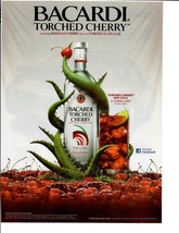 2010 Print Ad Bicardi Torched Cherry Rum Infused With Aloe Rum and Coke Alcohol - £11.55 GBP