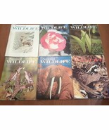 Lot of 6 National Wildlife Magazines Complete 1972 - FREE SHIPPING - $243.00 MXN