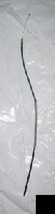 1999 Yamaha 600 VMax Deluxe Throttle Cable - $7.88