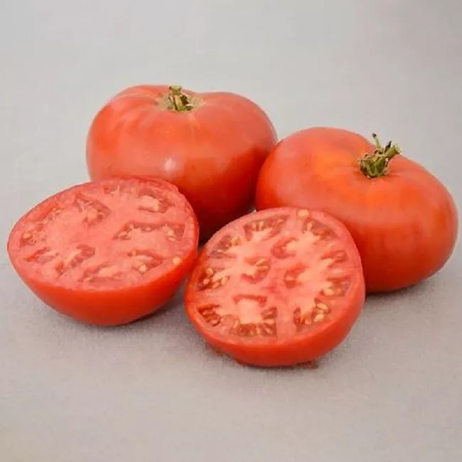 25 Carmello Slicing Tomato Seeds - Tomato Seeds  - £13.32 GBP