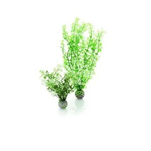 biOrb Easy Plant Winter Flowers, Medium  - $29.00