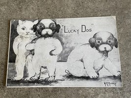 1909 Lucky Dog Cat Postcard A.E. Avery Fur Mom Gift Posted Card Rare Vin... - $4.74