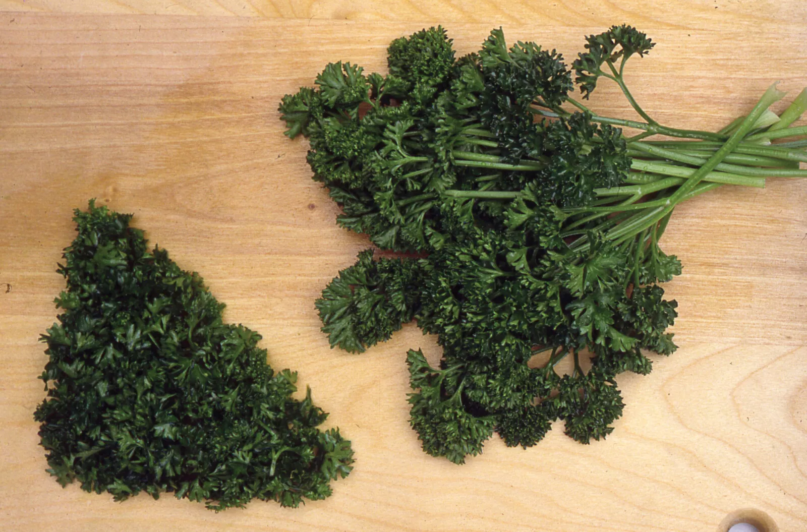 Forst Green Parsley Fresh Harvest 400 Seeds  - $9.60