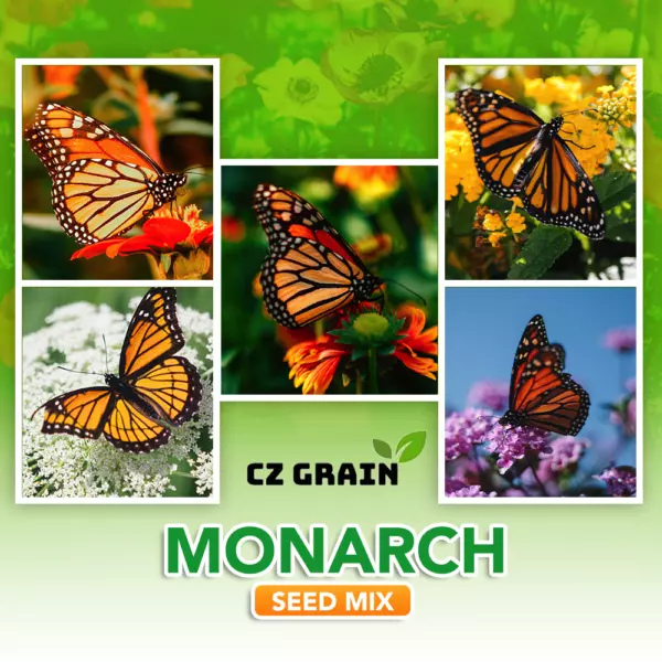Monarch Butterfly Seed Kit-You Will See Many Monarchs Usa Seller - £20.83 GBP