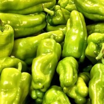 Golden Greek Pepperoncini Seeds Gardening Fresh USA Shipping - £6.27 GBP