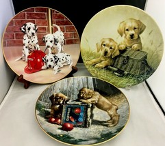 Puppies 3 decorative plates, Golder retrievers, Dalmatians, Cocker spaniel - £17.40 GBP