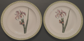 RAYMOND WAITES Set of 2 Hampton Garden Butterfly White Green Dinner Plates 10.5&quot; - £19.34 GBP