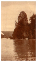 Rooster Rock on the Columbia River Oregon Postcard by Geo Weister 1900 - $9.89