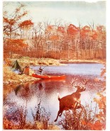 1960s Tense Moment Hunter&#39;s Hunting Buck Whitetail Deer Print Vintage DWJJ4 - $371.81 MXN