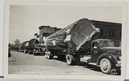 1948 Logging Giant Fir Logs Western Washington Arlington Transfer Postcard Q11 - £13.32 GBP
