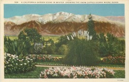 Snow Capped Sierra Madre Mountain Range with Flowers Unused DB Postcard CA I617 - £5.18 GBP