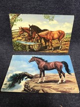 Vintage Postcards - Paintings By Lewis &amp; Dorothy Larsen - Horses 1953 Co... - £5.52 GBP