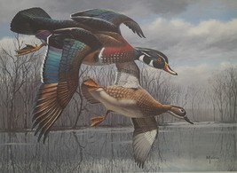 Wood Ducks by David Maass 1984 Texas Duck Stamp Print Artist Signed with matchin - £96.51 GBP