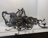 CAMRY     2002 Engine Wire Harness 749017  - $247.50