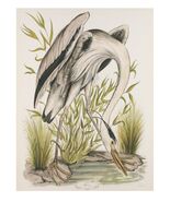 "Heron" by Jerome Trolliet Lithograph on Paper Penn Prints 1974 26" x 20" - $250.87