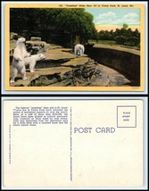 MISSOURI Postcard - St. Louis, Forest Park, Polar Bear Pit Q61 - £2.34 GBP