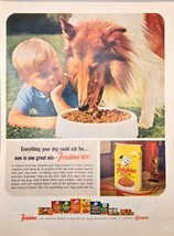 Friskies Mix - Dog Food - Collie Lassie - Kid - 1964 Vintage Print Ad - £8.91 GBP