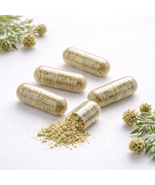 Saltwort Herb Capsules 500mg | (Salsola laricifolia) | Russian Thistle -... - $36.00