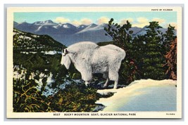 Mountain Goat Glacier National Park Montana UNP Linen Postcard S8 - £3.24 GBP